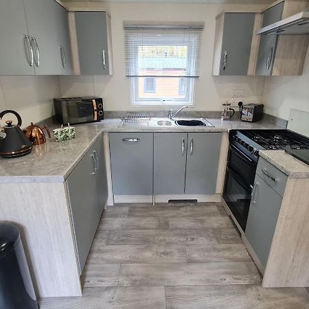 The Ceredigion - Plot 26, Woodlands Lodge Retreat, New Quay, West Wales Llanina Екстер'єр фото